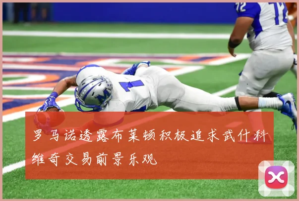罗马诺透露布莱顿积极追求武什科维奇交易前景乐观